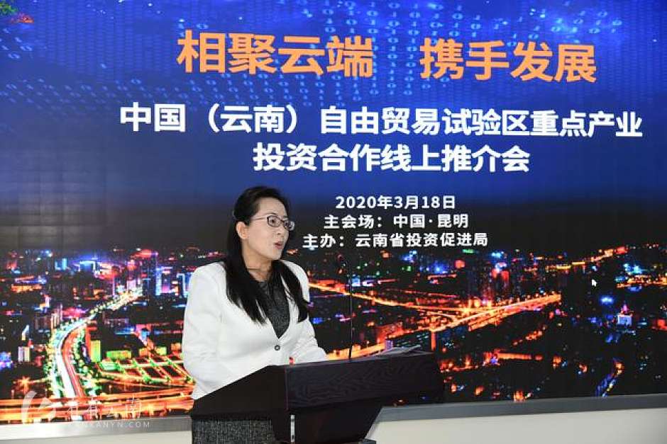 云南省投资促进局副局长王青梅主持“云招商”