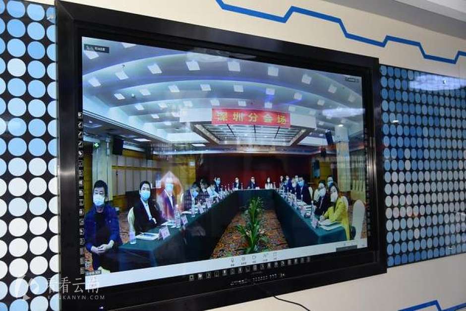 推介会深圳分会场