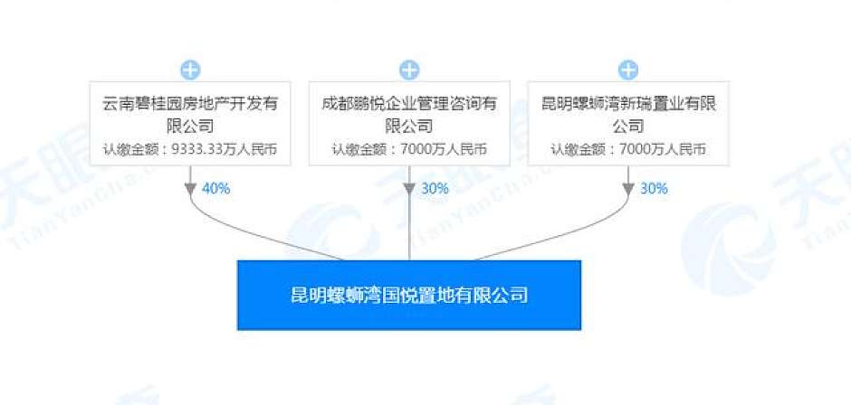 隆盛府开发商昆明螺蛳湾国悦置地有限公司股权图（天眼查）