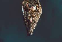 星空小镇房车营地小长假开放 4月抚仙湖乐趣升级-看看云南