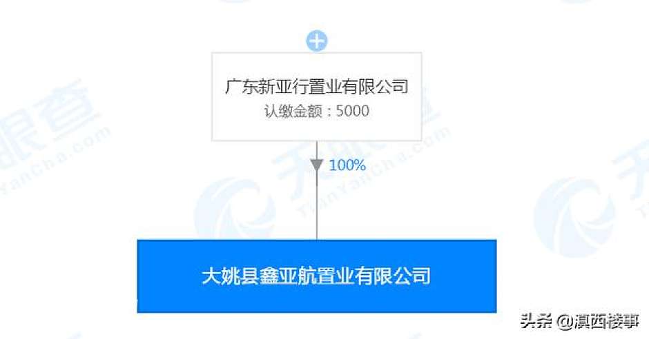 拿地企业股权图（天眼查）