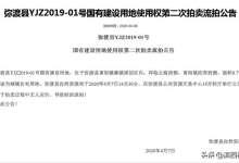 弥渡县2020年首宗开拍土地又流拍了！面积11亩，起拍价仅70万/亩-看看云南