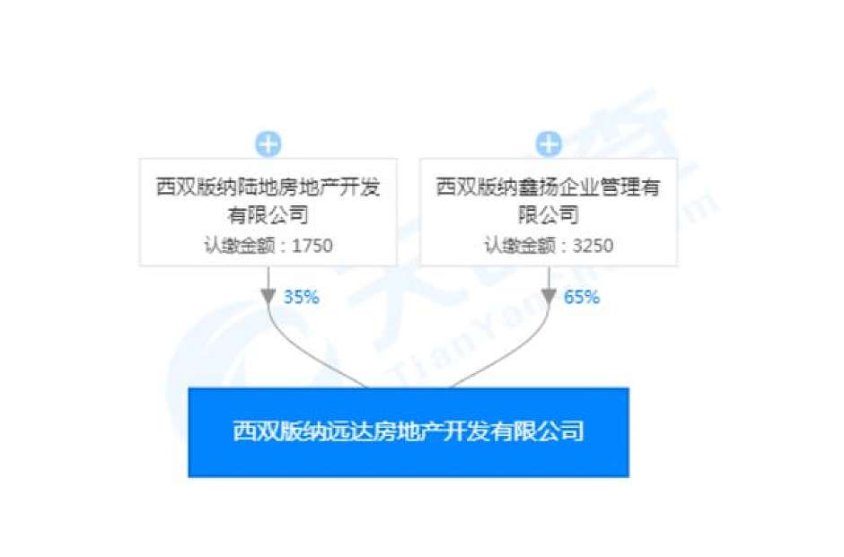 西双版纳远达房地产开发有限公司股权图（天眼查）