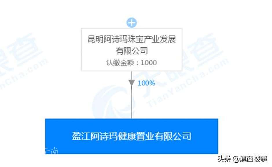 企业股权图（天眼查）