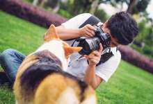 入行一单400元，现在翻10倍，他拍出了昆明人朋友圈最飒的宠物照-看看云南