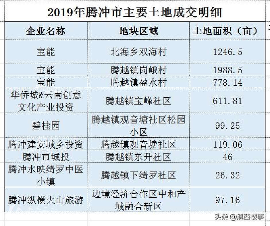 2019年，腾冲市主要拿地企业名录