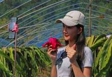 起死回生？云南传统商业危中有机，直播带货或成救赎利器-看看云南