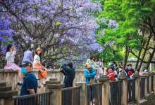 萧条近半年的云南迎来生机，首个黄金周接待游客996.62万人-看看云南