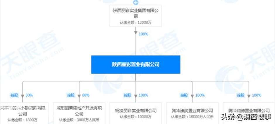 陕西丽彩置业有限公司股权图（天眼查）