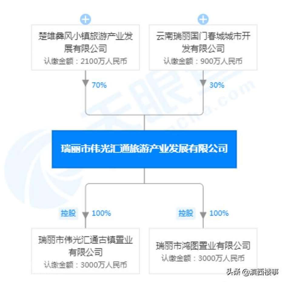 瑞丽市鸿图置业有限公司股权图（天眼查）