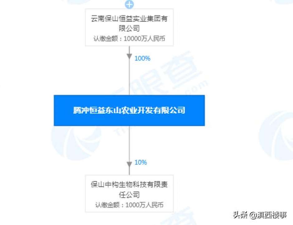 腾冲恒益东山农业开发有限公司股权关系（天眼查）