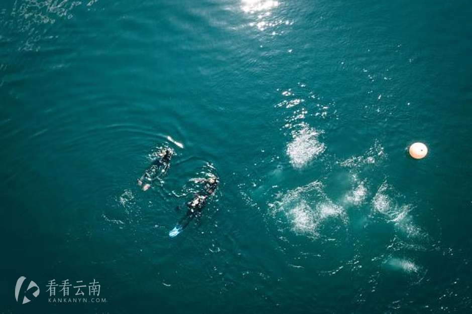 抚仙湖潜水实拍图