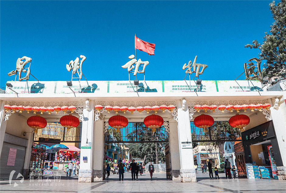 儿童节特辑｜每一个昆明人的童年，都有一座“圆通山”