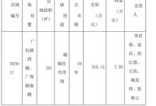 6个人买家联合拿下瑞丽市区1亩住宅地，至少可建1767㎡新房-看看云南