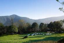 在昆明，拥有一块专属土地，实现种菜养花自由，很难吗？-看看云南