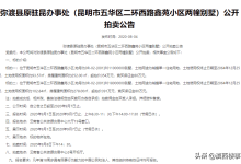 全长20公里的丽江城市轻轨1号线 共设5个地面站 平均站间距5公里-看看云南