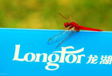 2020上半年龙湖集团物业投资收入33.6亿 同比增长超三成-看看云南