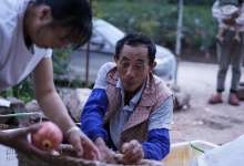 寻野好物：镜头下被自然照看的石榴守护人-看看云南