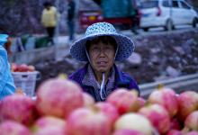 云南“神石榴”熟了,甜度不输西瓜心,单个重高达2公斤-看看云南