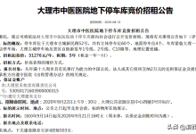 会算账懂经营的看过来！大理古城64个车位每年逾3万起公开招租-看看云南