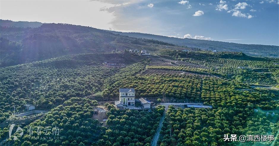 丽江一国企掷金119亿拿下华坪235亩地拟建芒果康养小镇
