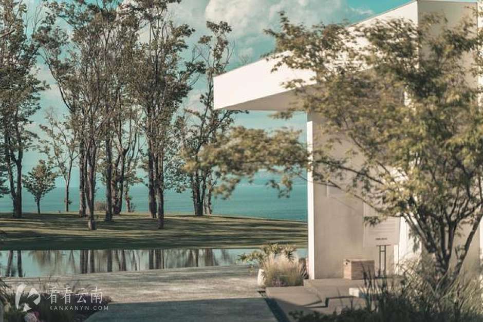 龙湖抚仙湖·星空小镇样板间实拍图