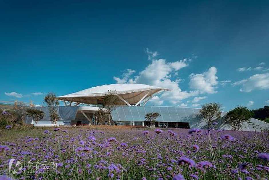 龙湖抚仙湖·星空小镇示范区实拍图