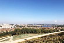 昆明又出现一个“标杆”项目，经开区洋房1.3万/平米起-看看云南