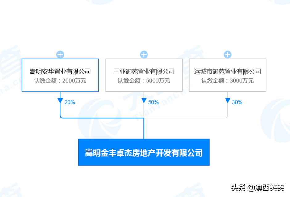 企业股权图
