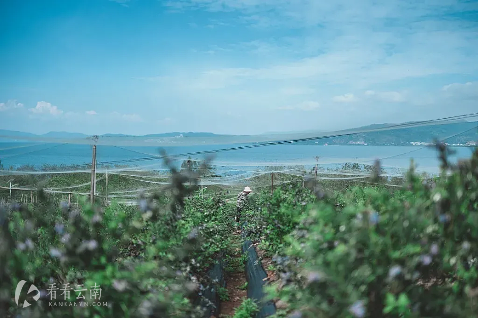 抚仙湖·星空小镇实拍