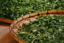 销声匿迹百年,实力碾压冰岛,普洱宝藏茶山最贵茶叶才卖到6万?-看看云南