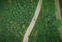 销声匿迹百年，实力碾压冰岛，普洱宝藏茶山最贵茶叶才卖到6万？-看看云南