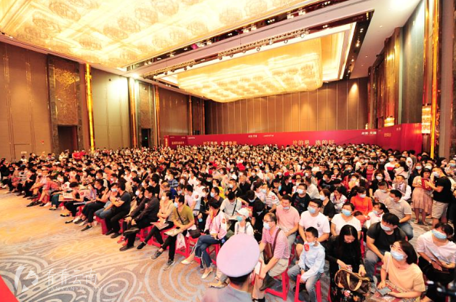 龙湖·天璞一期首开现场