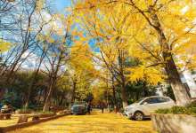 云南大学呈贡校区约1.7亿元的新配套迎推进-看看云南