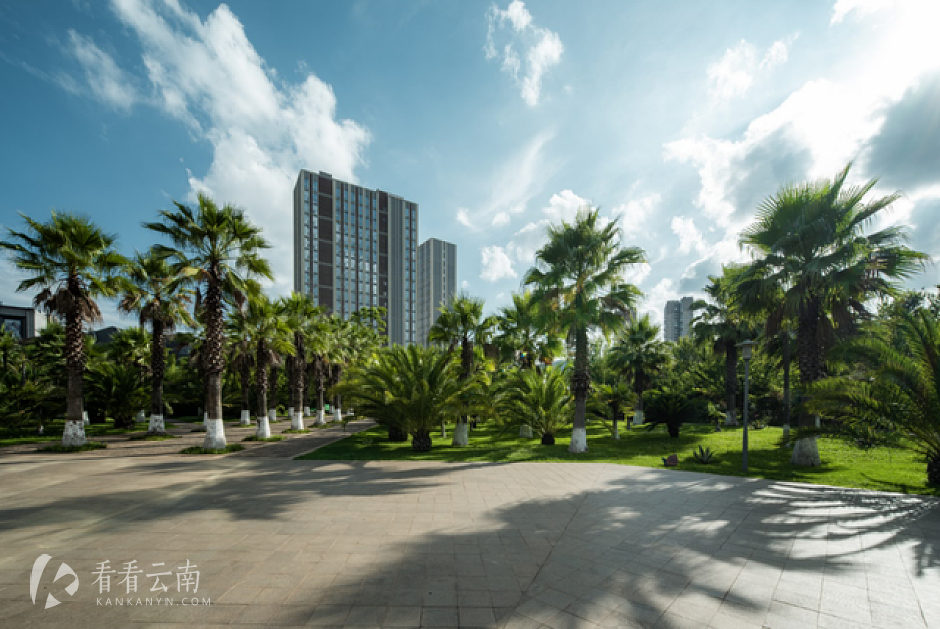 隅山公园 实拍图