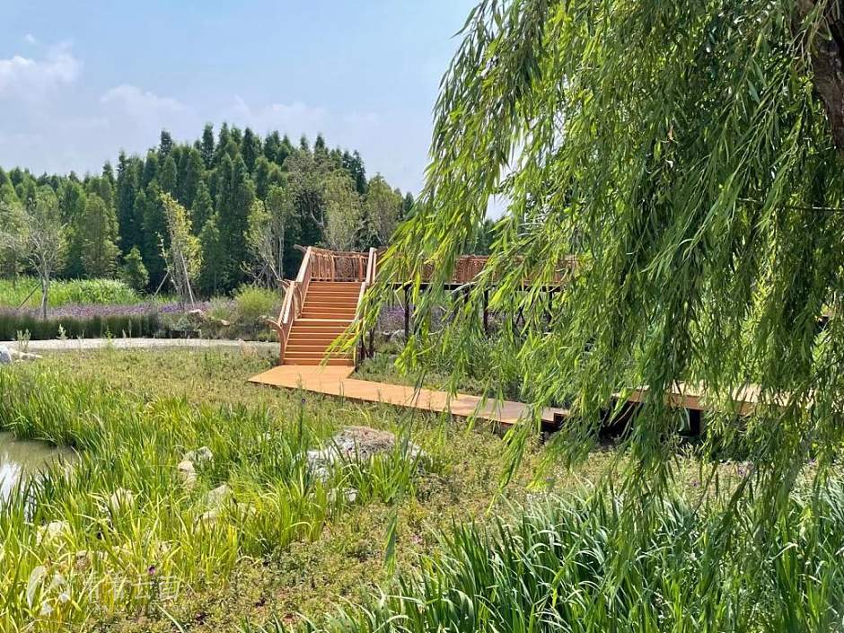 昆明斗南湿地公园实景