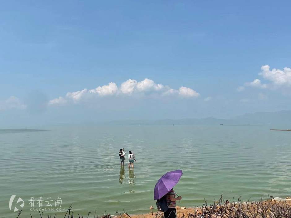 昆明斗南湿地公园附近，在滇池水里嬉戏的一家人