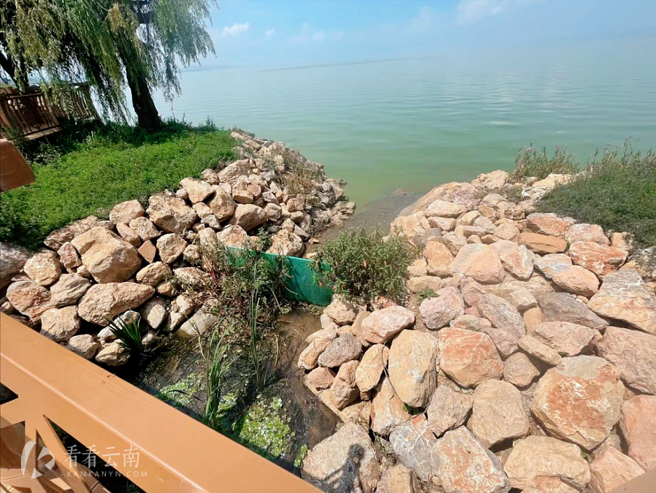 昆明斗南湿地公园流入滇池的出水口