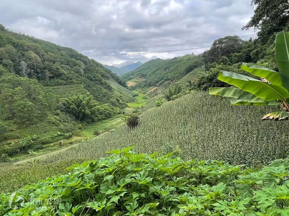 云南山林里的那些村民们（上）