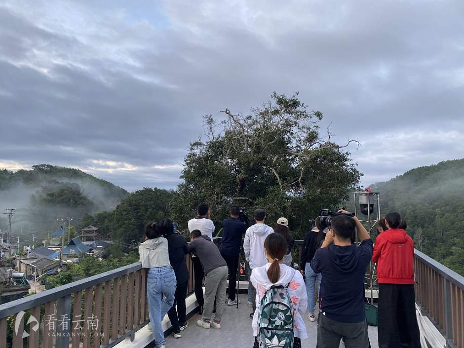 云南山林里的那些村民们（上）