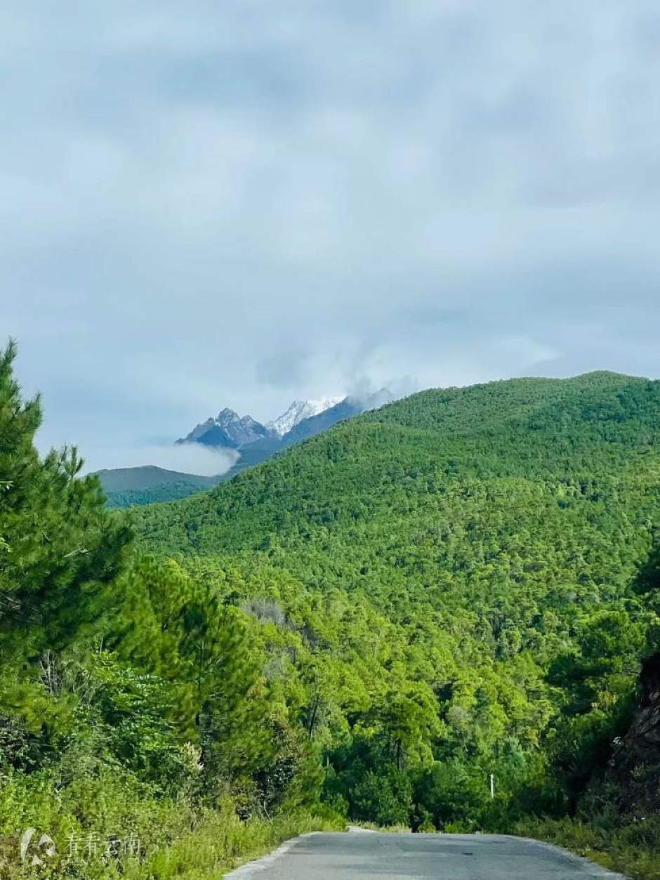去往丽江高山植物园的路上，玉龙雪山显真容