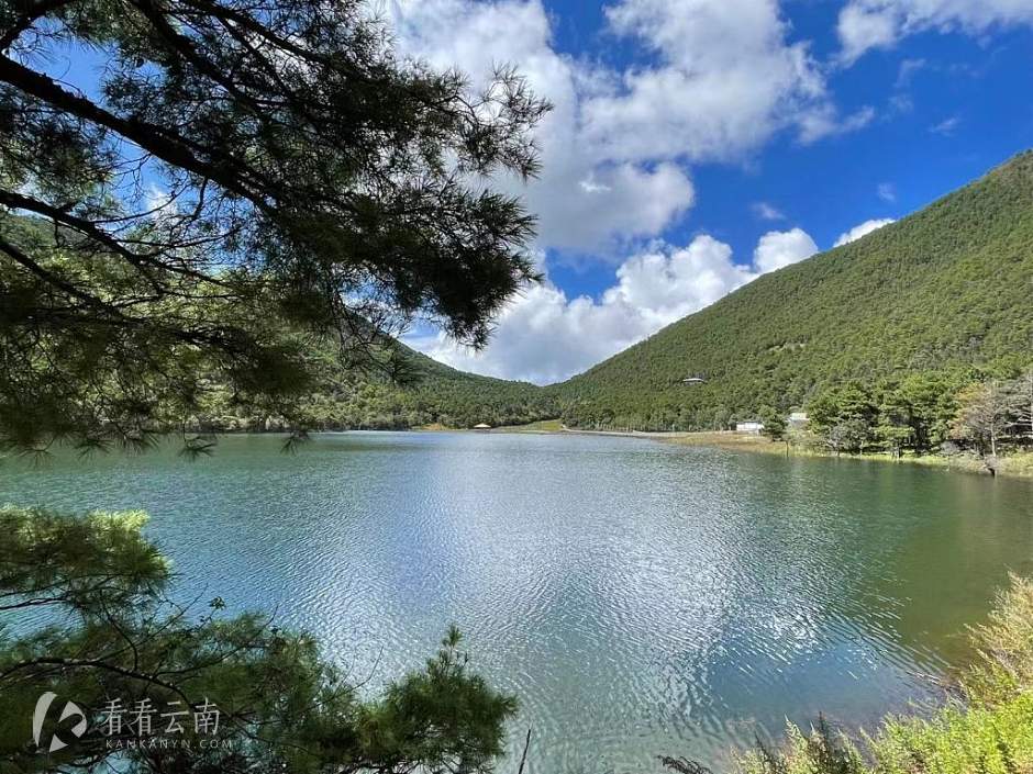 丽江高山植物园实景