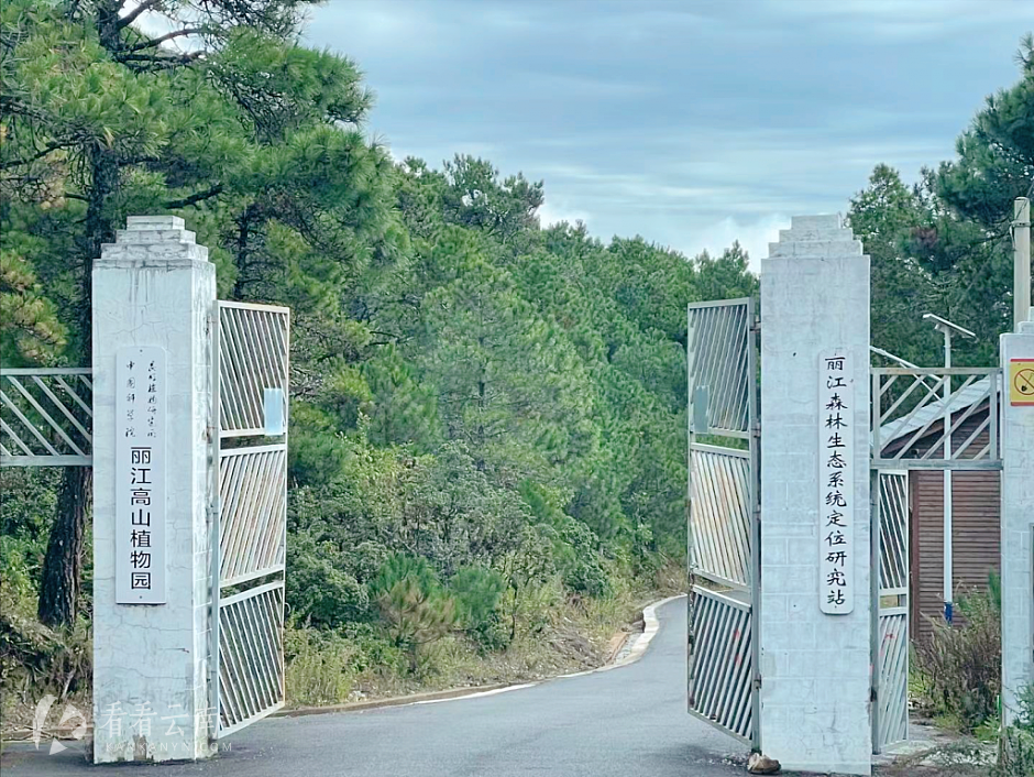丽江高山植物园大门