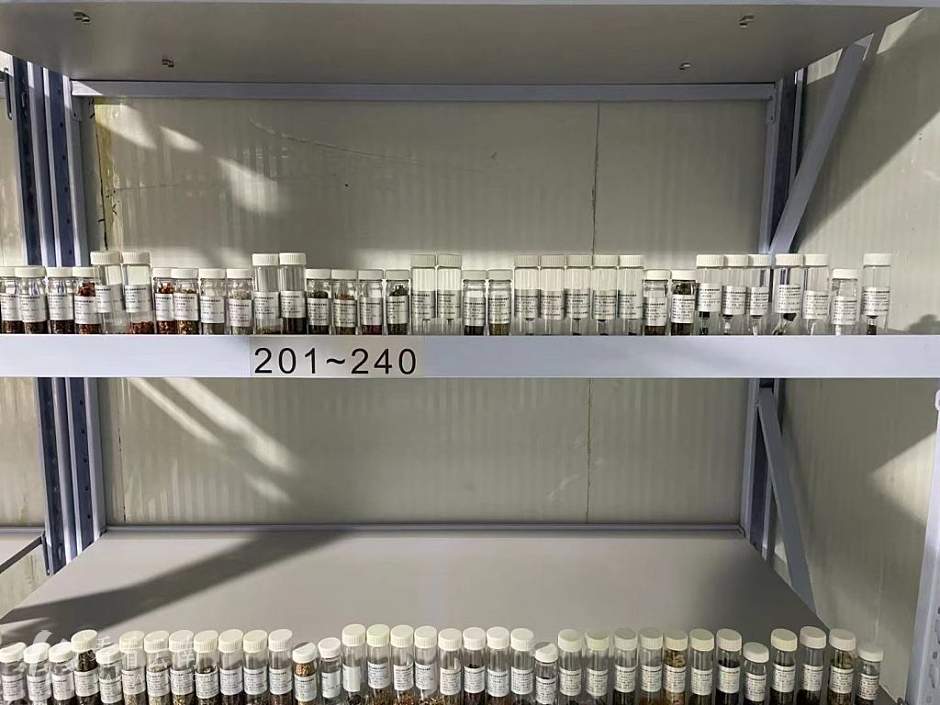 丽江高山植物园，园区里的滇西北野生植物种质资源库