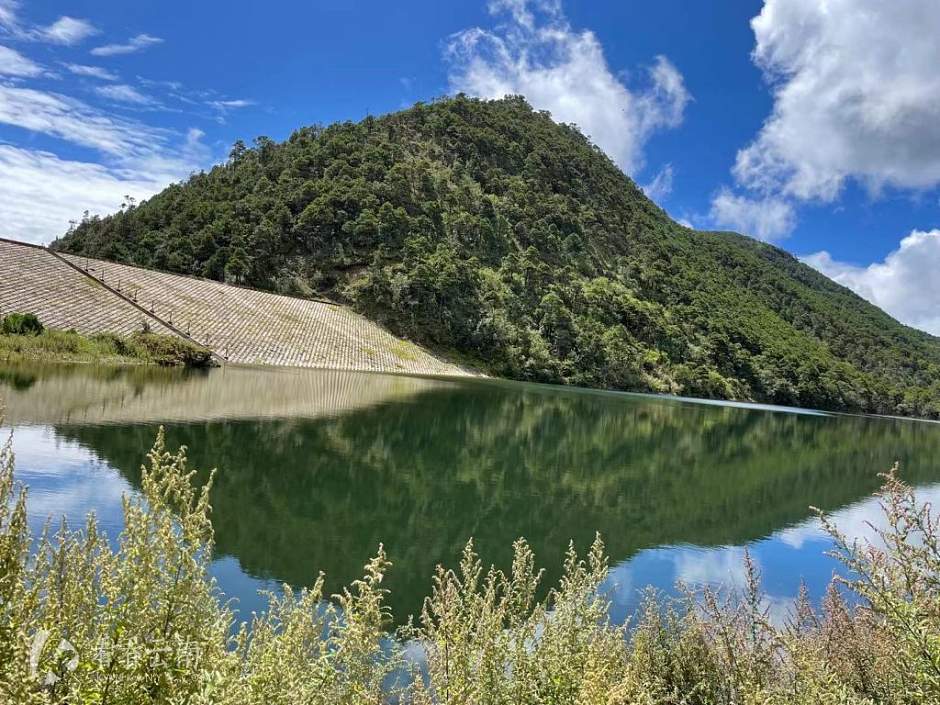 丽江高山植物园一角