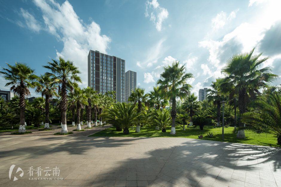 隅山公园 实拍图