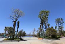 参与公园1903景观打造的公司，中标了昆明五华区星云公园项目-看看云南