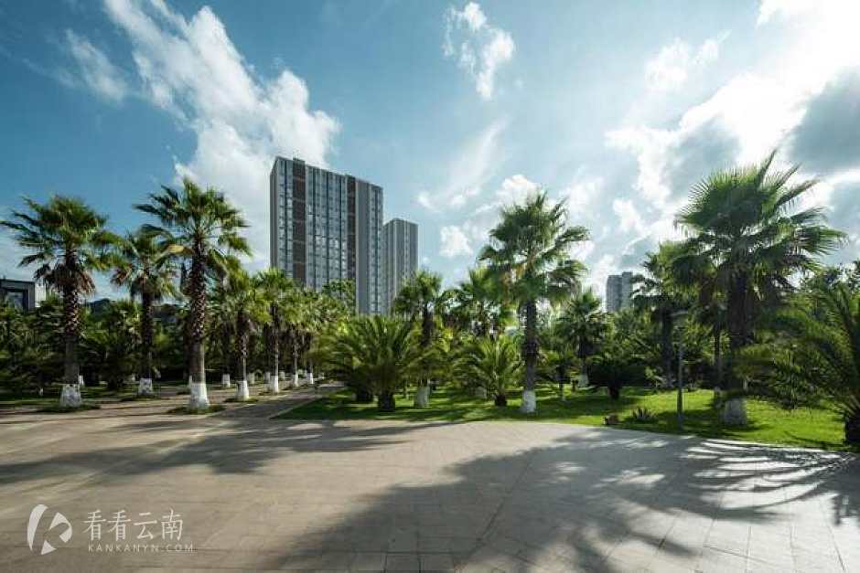 隅山公园 实拍图