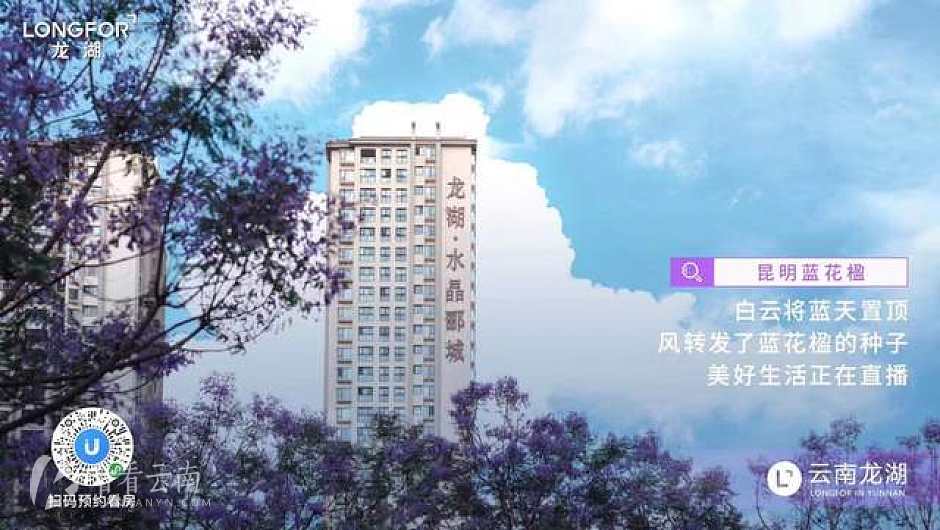 被蓝花楹环绕的龙湖·水晶郦城