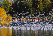 一张地图,玩转昆明-看看云南